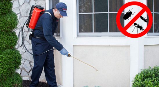 Harmandalı Dezenfeksiyon böcek ilaçlama ve haşere kontrolü — ilaclama-tr.com